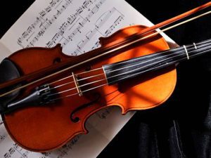 Indian Violin Product Image