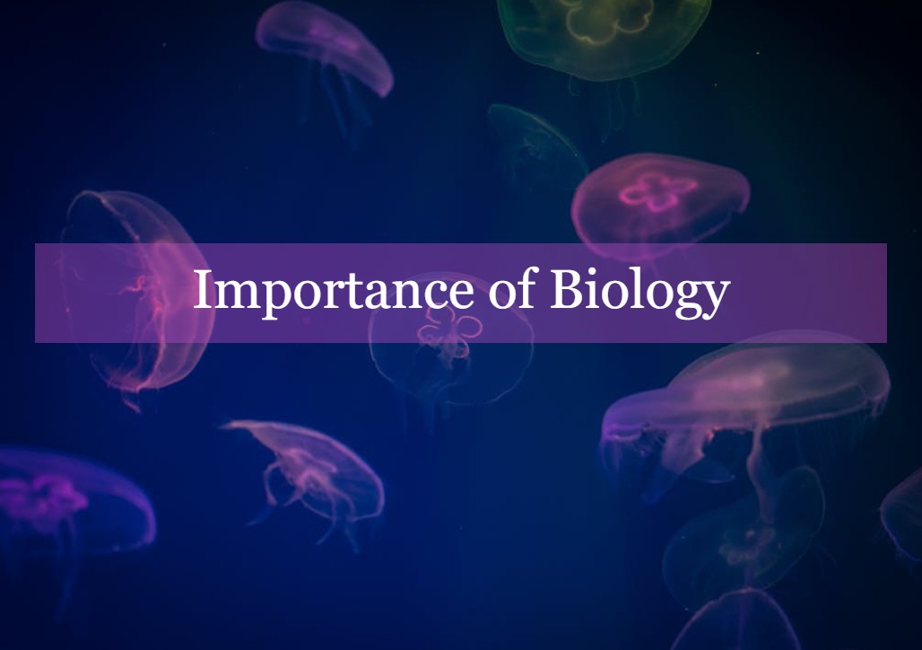 importance of biology