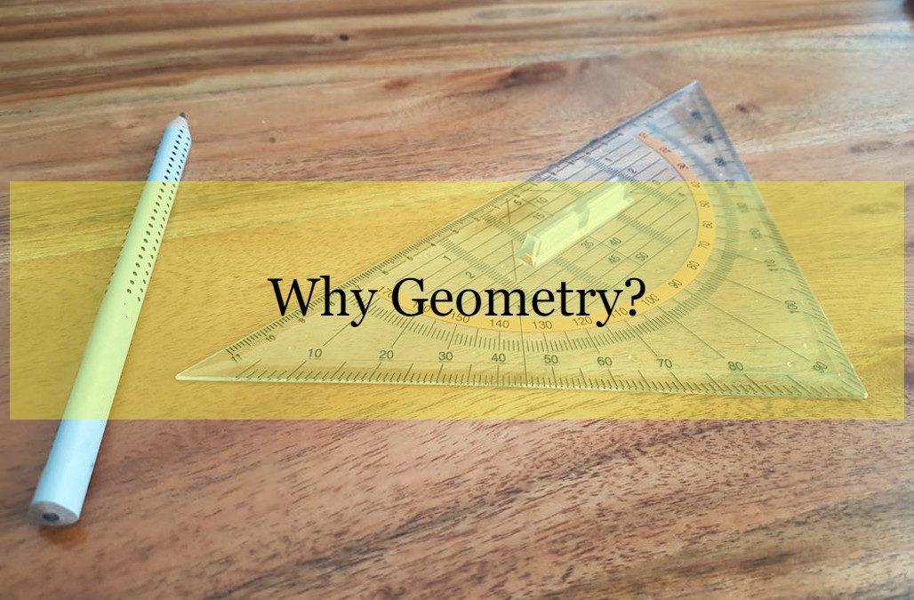 Why Learn Geometry